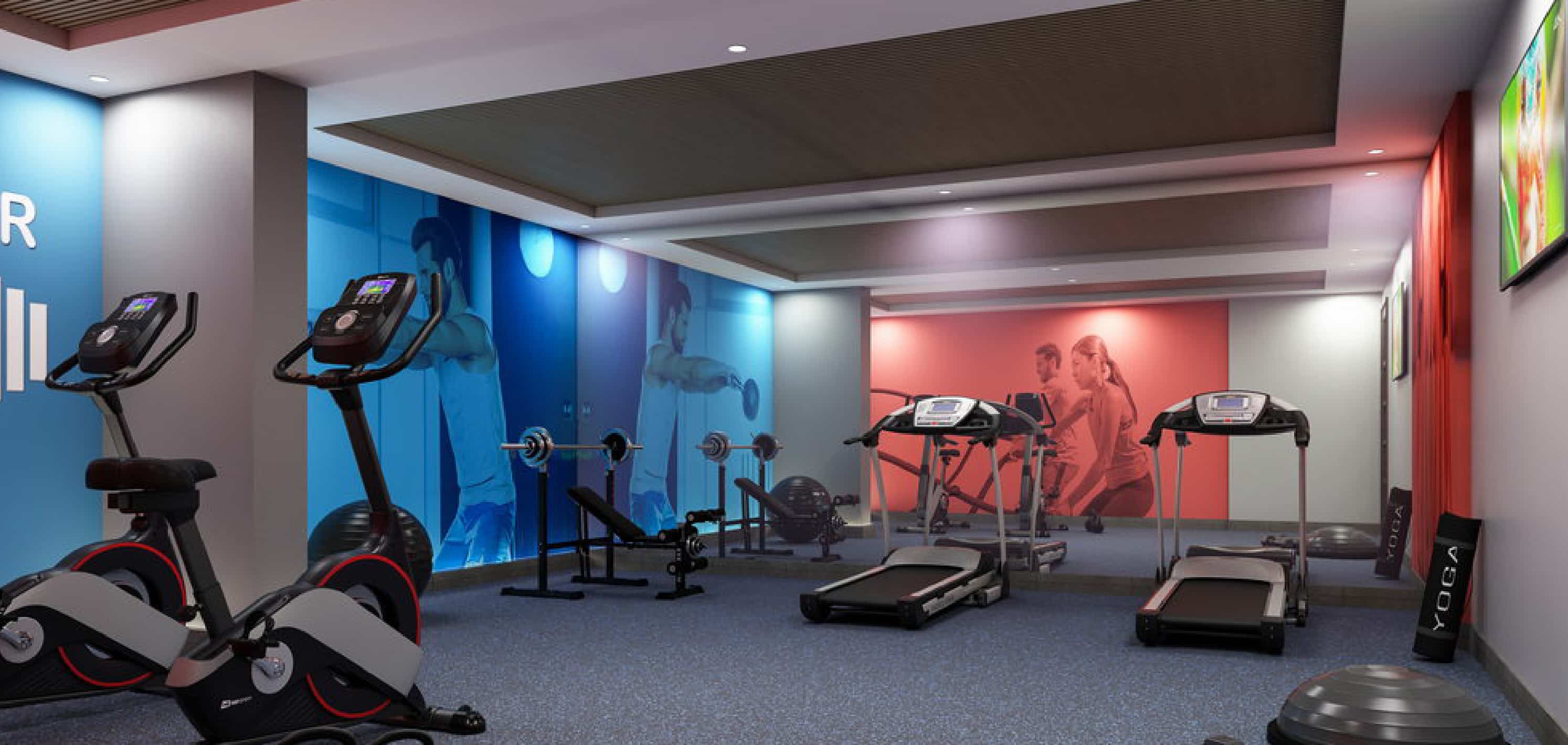 Gimnasio
