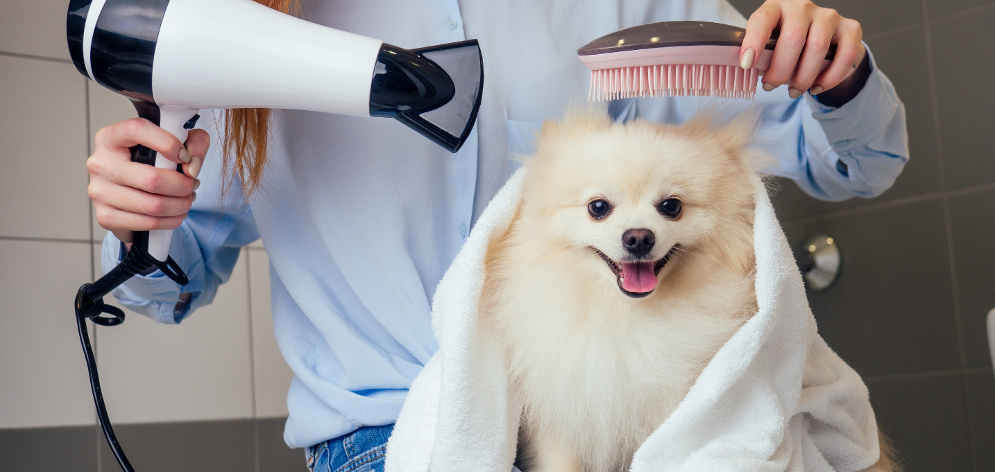 Pet Spa