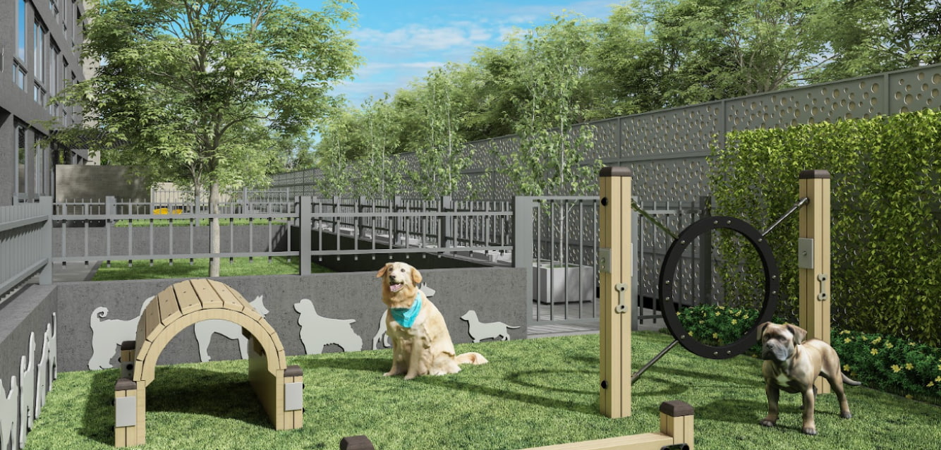 Plaza para mascotas