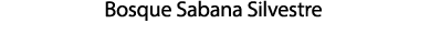 Bosque Sabana Silvestre 