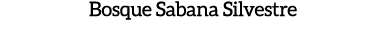 Bosque Sabana Silvestre 