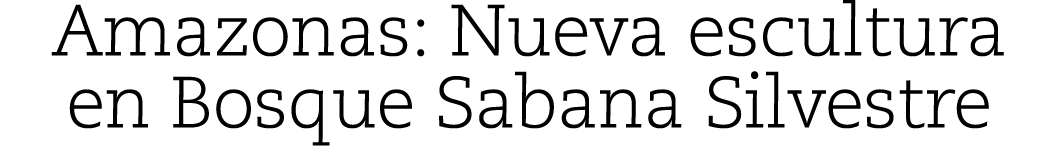 Amazonas: Nueva escultura en Bosque Sabana Silvestre