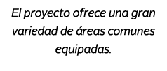 El proyecto ofrece una gran variedad de reas comunes equipadas.