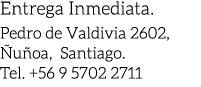 Entrega Inmediata. Pedro de Valdivia 2602, u oa, Santiago. Tel. +56 9 5702 2711 
