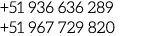 +51 936 636 289 +51 967 729 820
